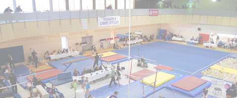Muskoka Limberettes Gymnastics Club